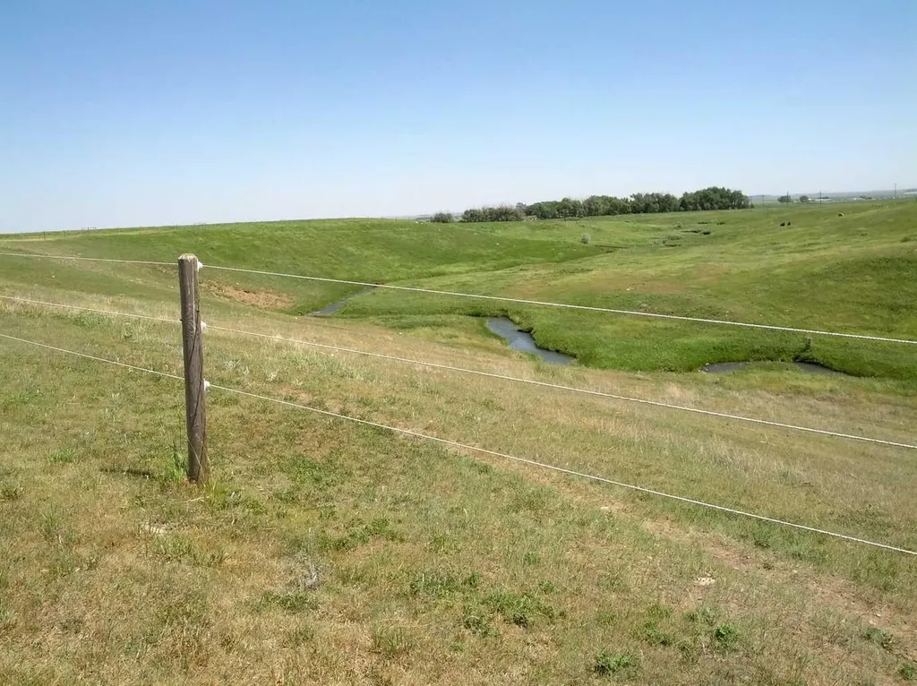 124025 Range Road 214 Picture Butte AB T0K 1V0