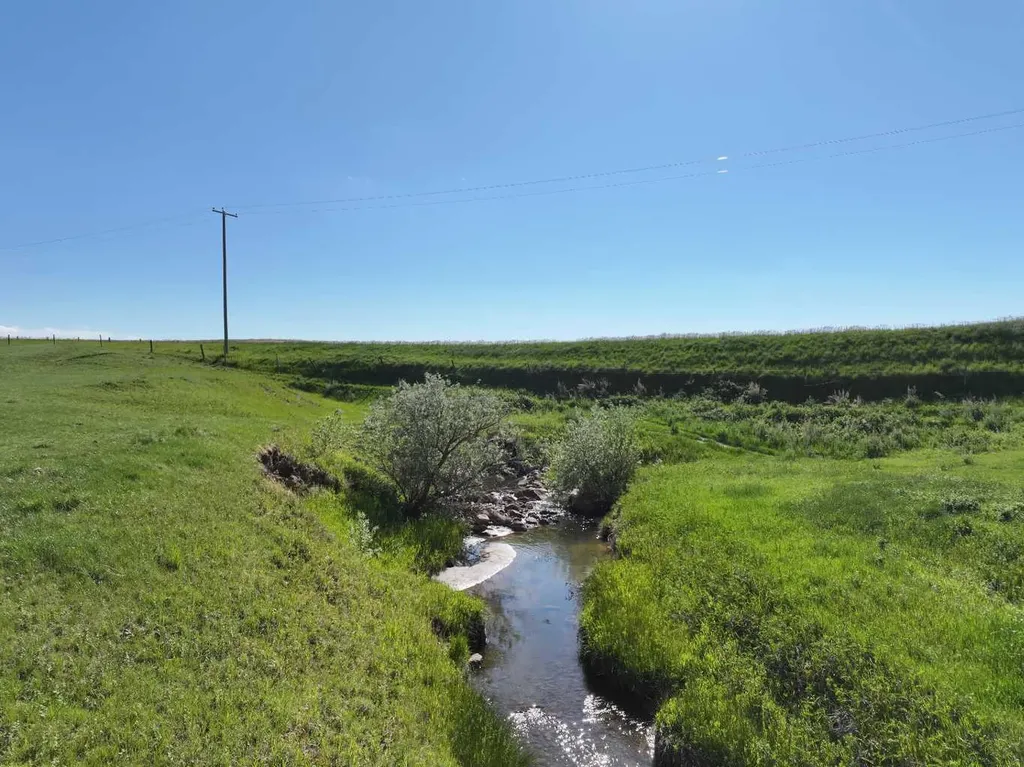124025 Range Road 214 Picture Butte AB T0K 1V0