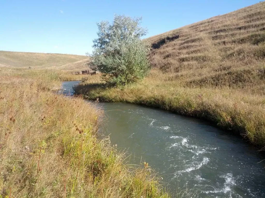 124025 Range Road 214 Picture Butte AB T0K 1V0