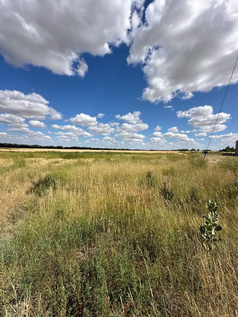 12003 Range Road 60a Rural Cypress County AB T1A0H5