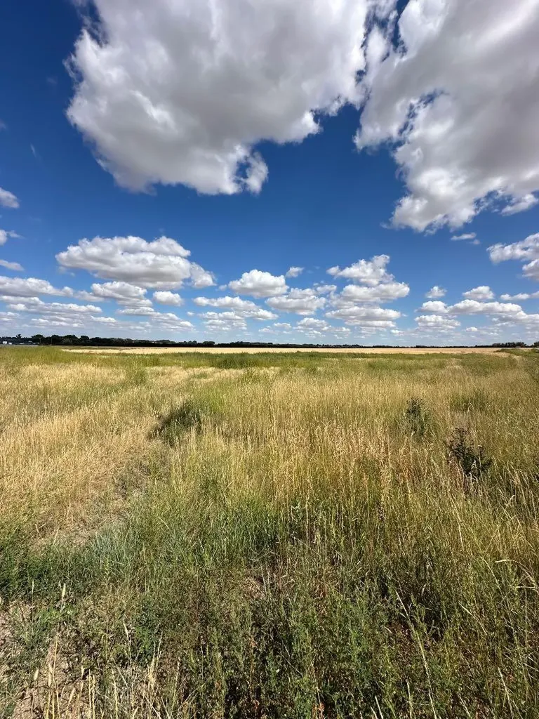 12003 Range Road 60a Rural Cypress County AB T1A0H5
