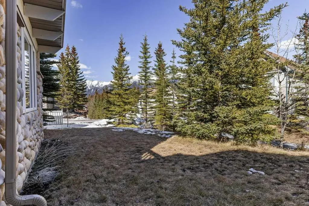127 Carey Canmore AB T1W 2R3