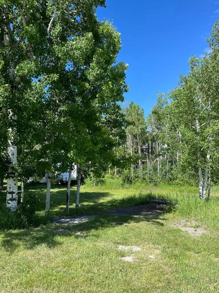 3622 85 Street SW Calgary AB T3H 3V7