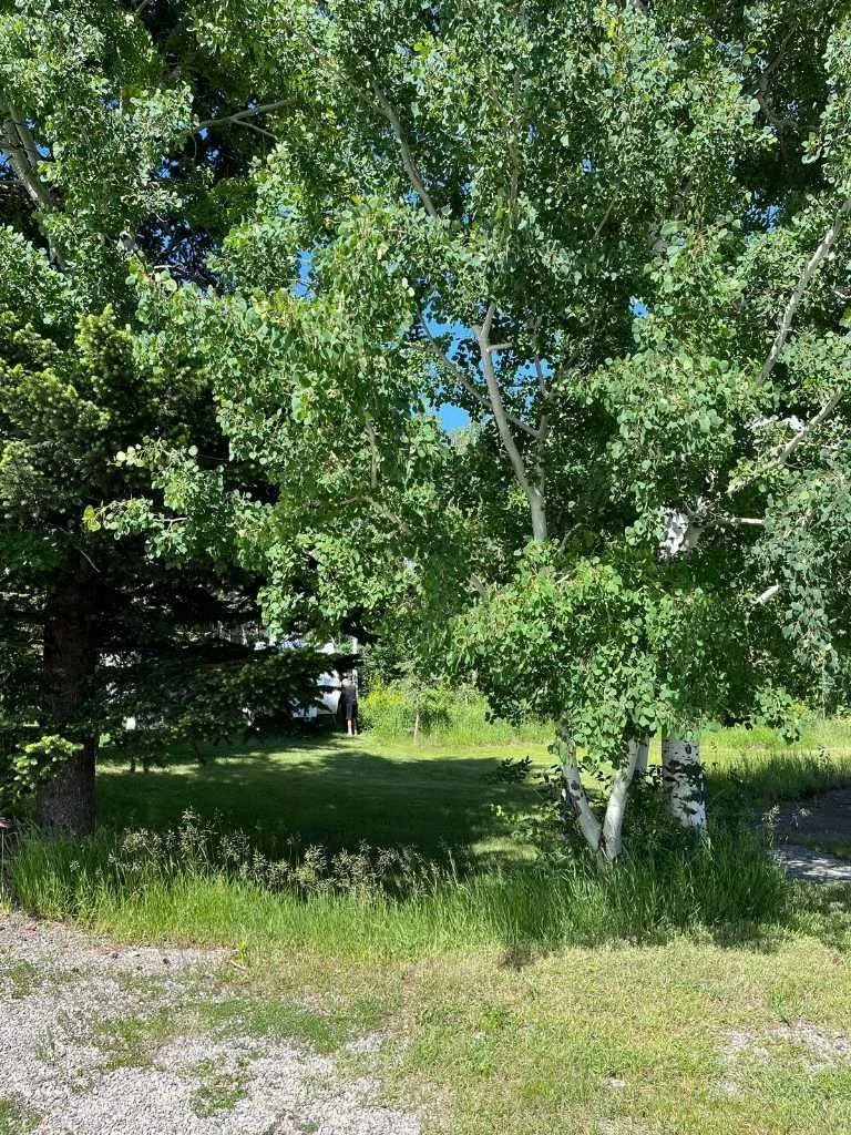 3622 85 Street SW Calgary AB T3H 3V7