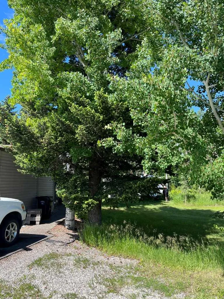 3622 85 Street SW Calgary AB T3H 3V7