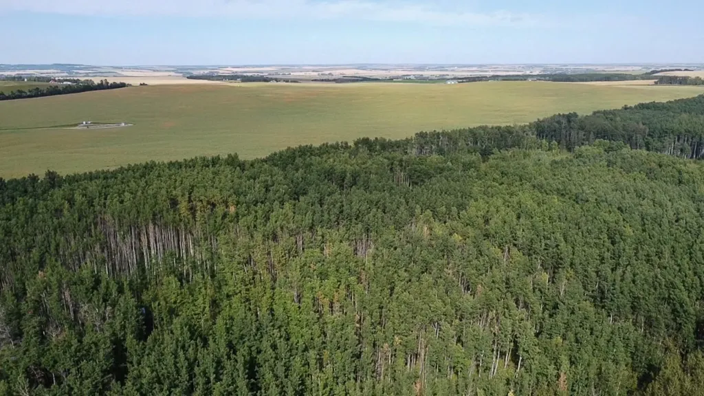 Sunhaven Road Rural Lacombe County AB T0C 0J0