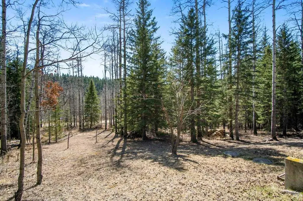 29066 Range Road 52 Rural Mountain View County AB T0M 2E0