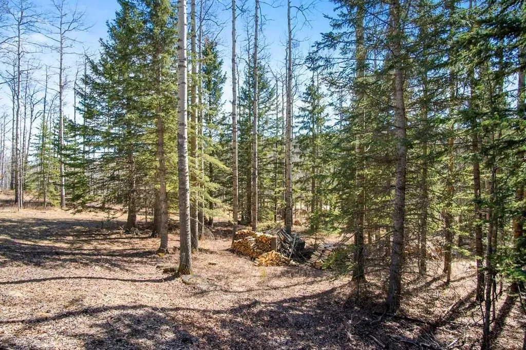 29066 Range Road 52 Rural Mountain View County AB T0M 2E0