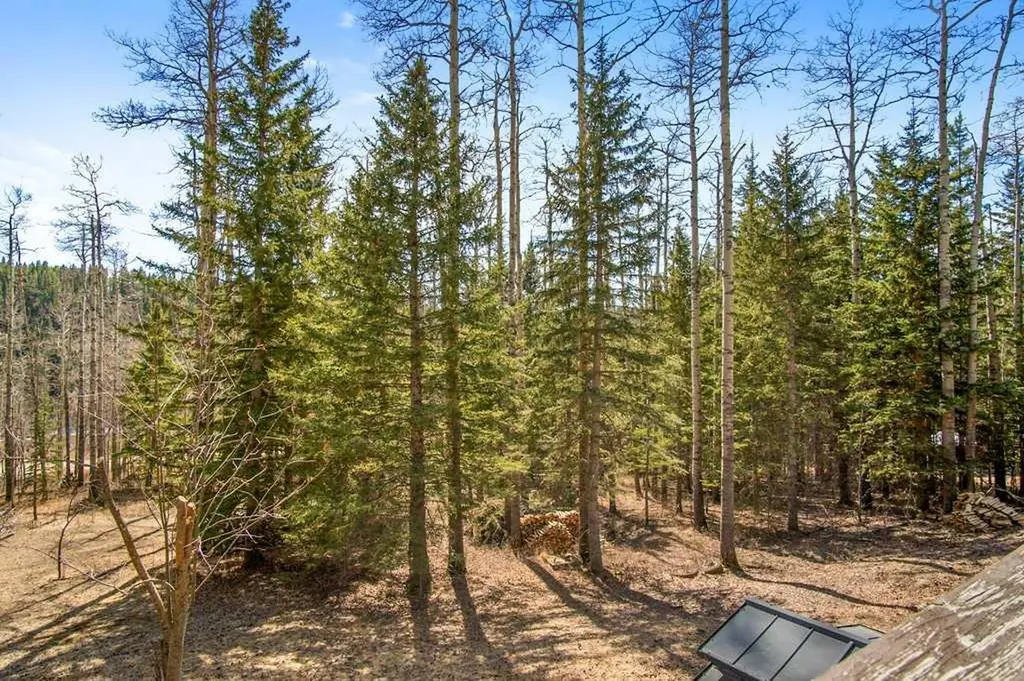 29066 Range Road 52 Rural Mountain View County AB T0M 2E0