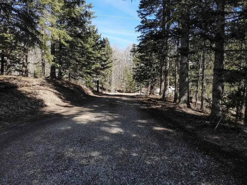 29066 Range Road 52 Rural Mountain View County AB T0M 2E0