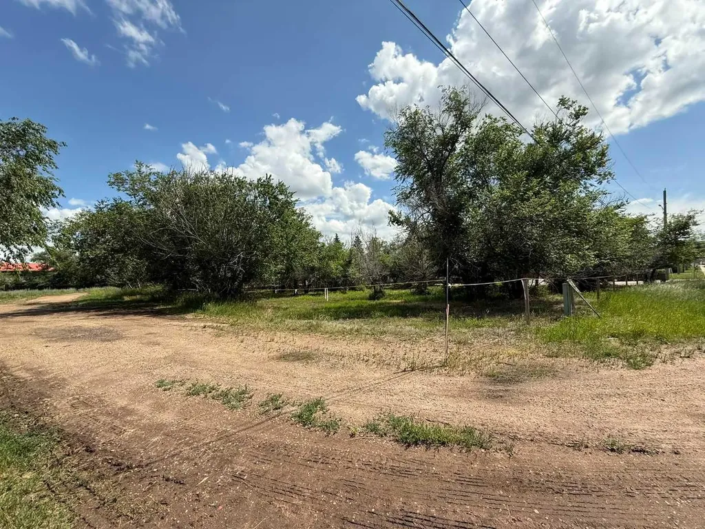 703 9 Highway S Drumheller AB T0J 0Y6