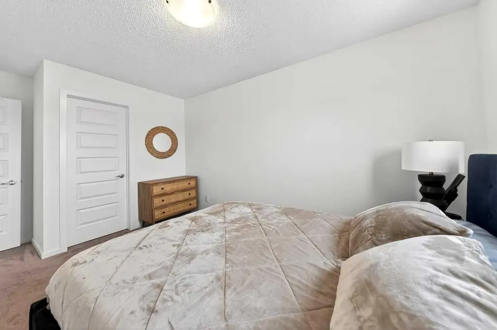 192 Cityspring Way NE Calgary AB t3n 1z9