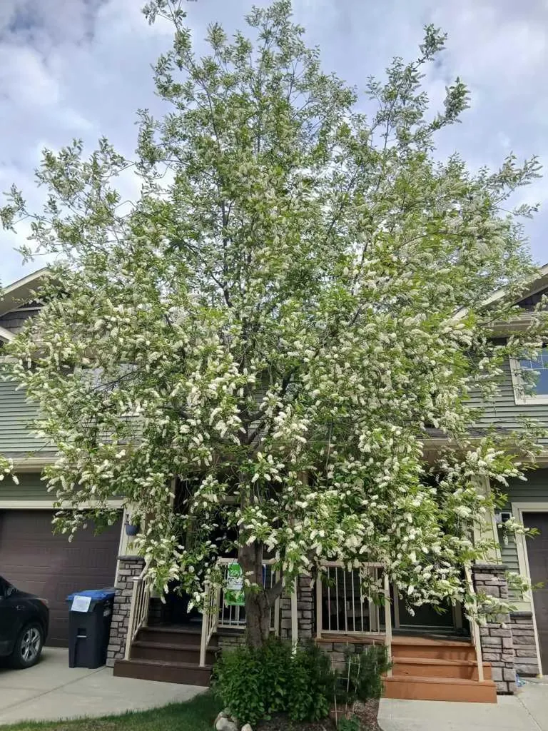 4603 Ryders Ridge Boulevard Sylvan Lake AB T4S 0G6