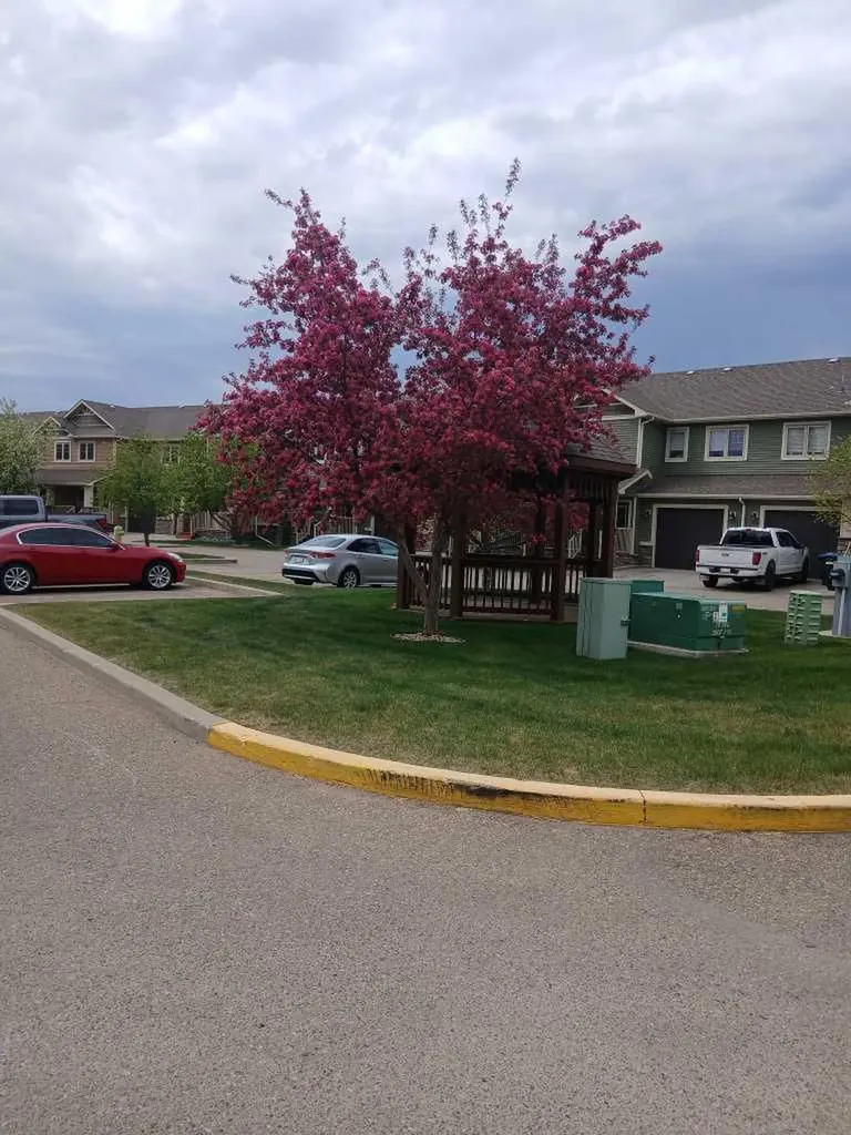 4603 Ryders Ridge Boulevard Sylvan Lake AB T4S 0G6