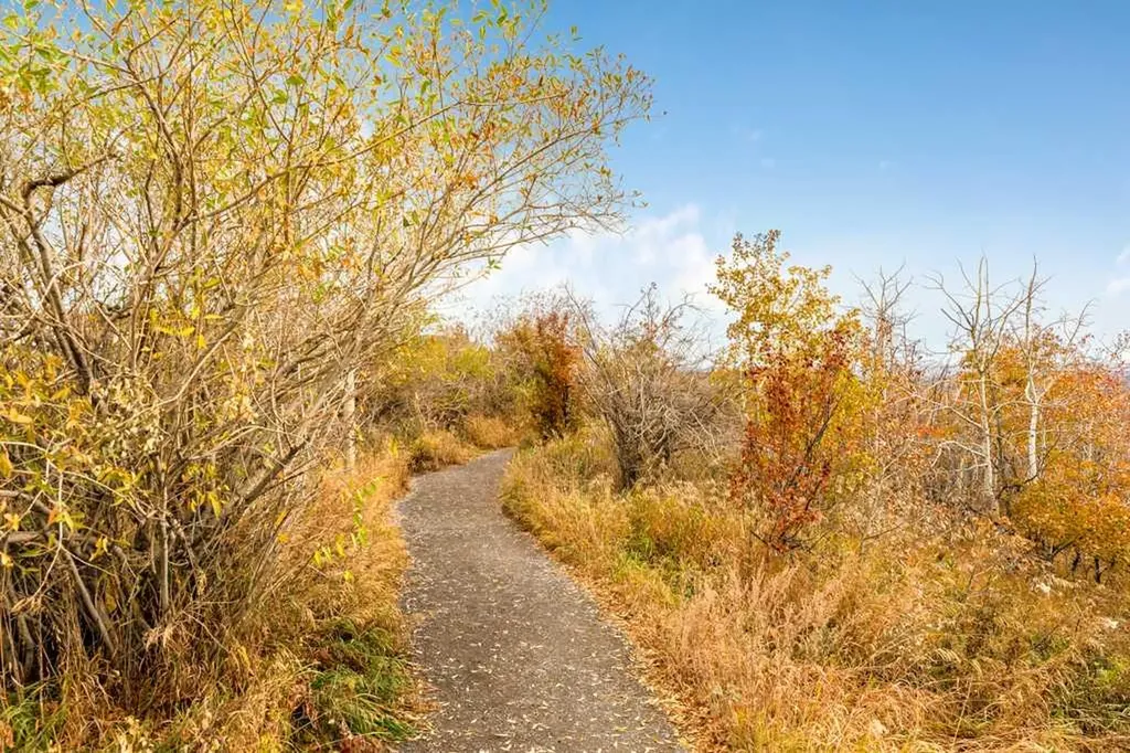 40 Cougar Ridge Heights SW Calgary AB T3H 4X5