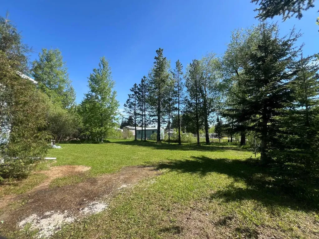 5010 49 Avenue Robb AB T7E 1X0