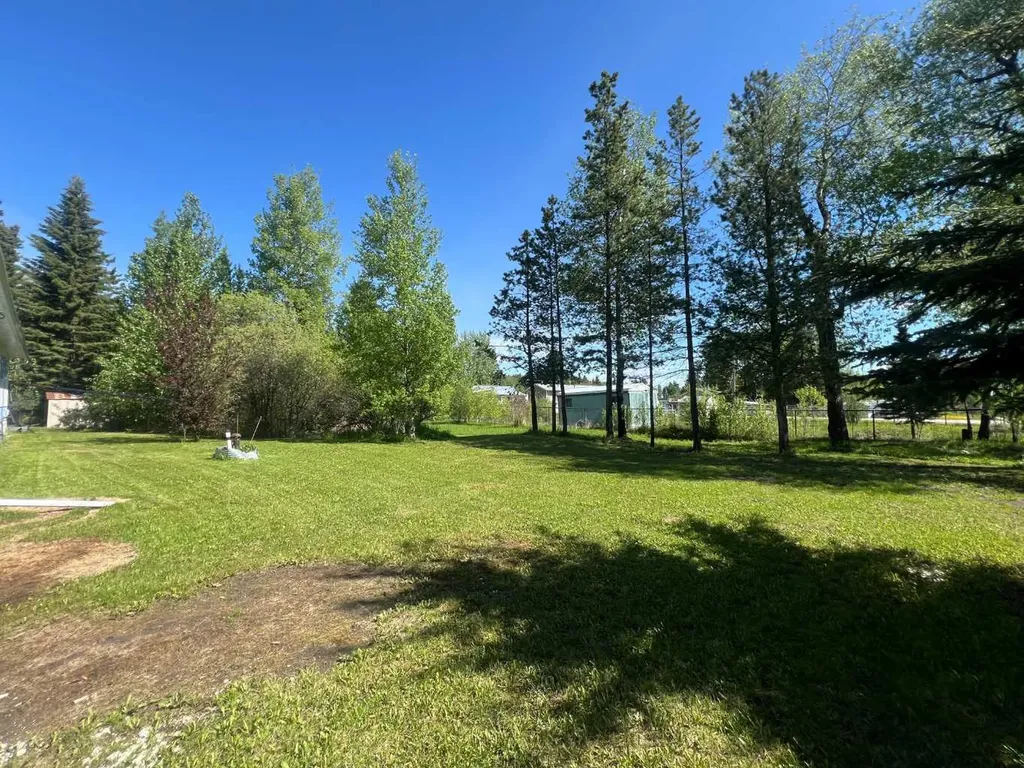 5010 49 Avenue Robb AB T7E 1X0
