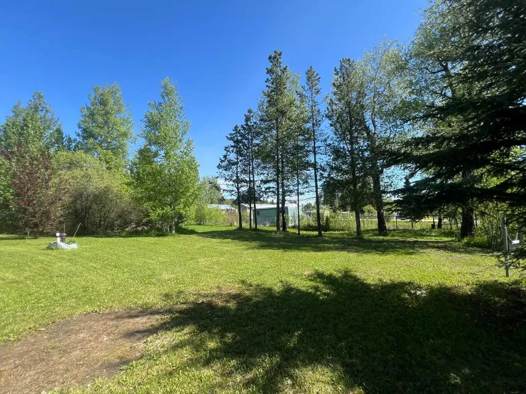 5010 49 Avenue Robb AB T7E 1X0