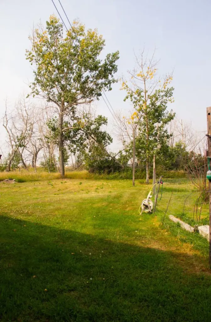 160078 Township Road 304 Craigmyle AB T0J1P0