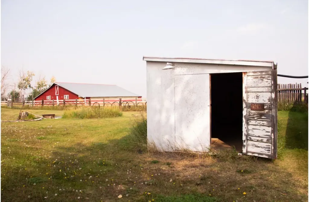 160078 Township Road 304 Craigmyle AB T0J1P0
