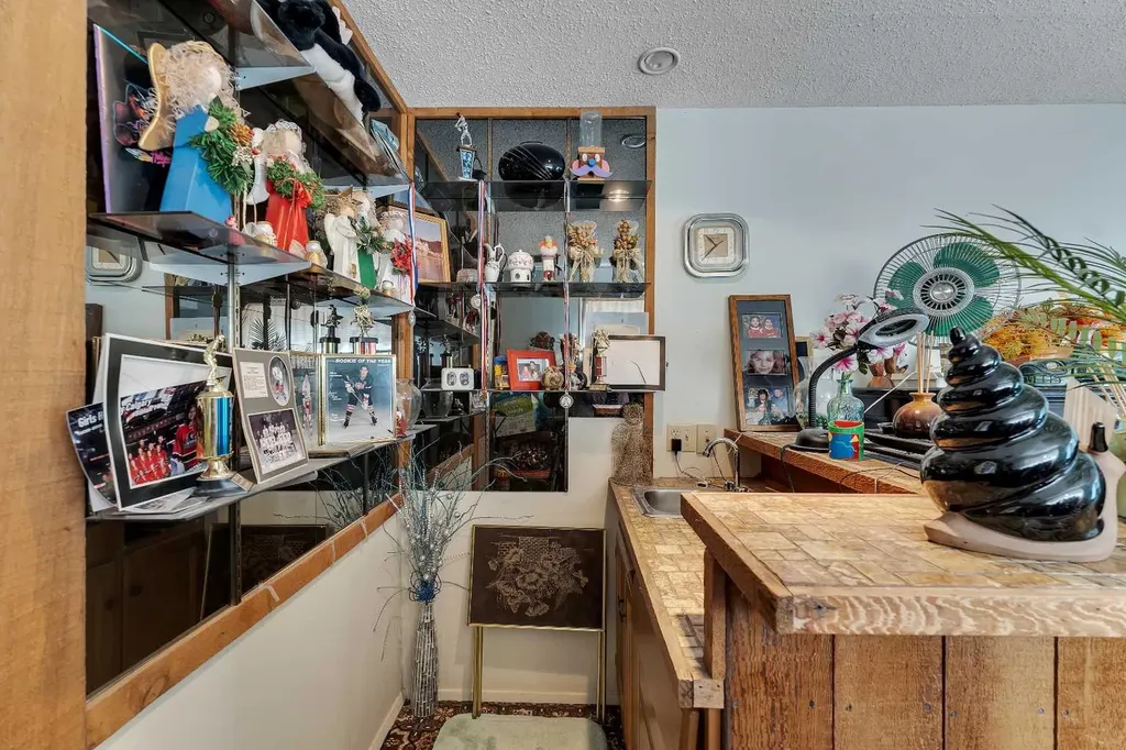 1003 Berkley Drive NW Calgary AB T3K 1E3