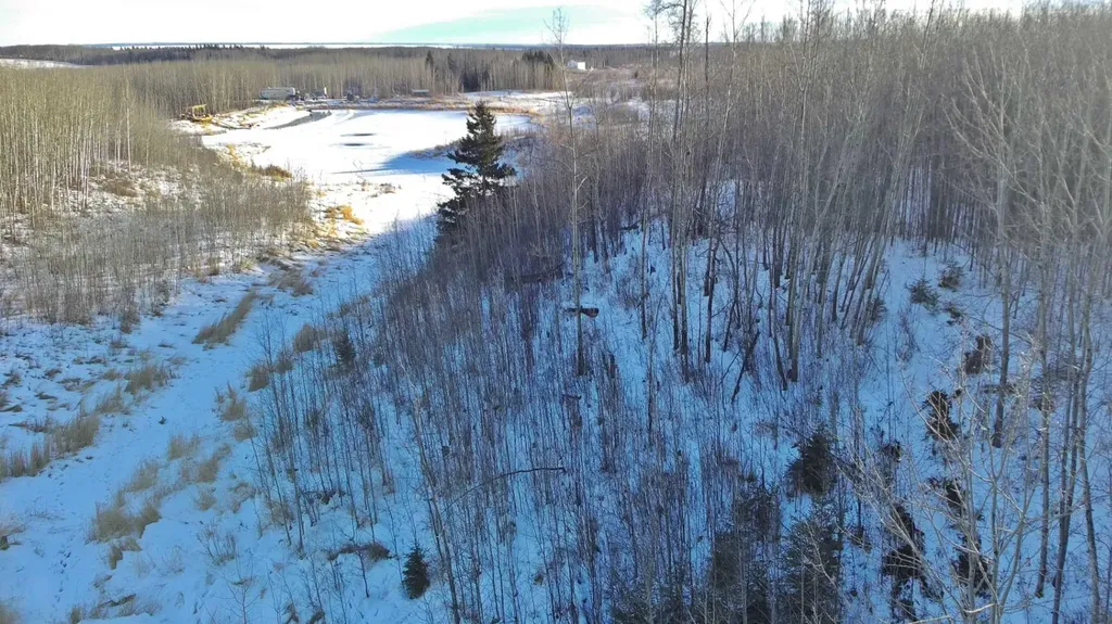 Lot 13 Rr14 Rimbey AB T0C 2J0