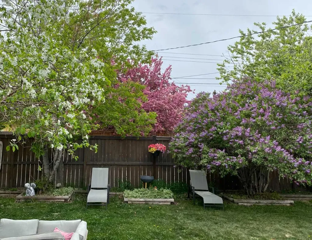 223 45 Street SW Calgary AB T3C 2B4
