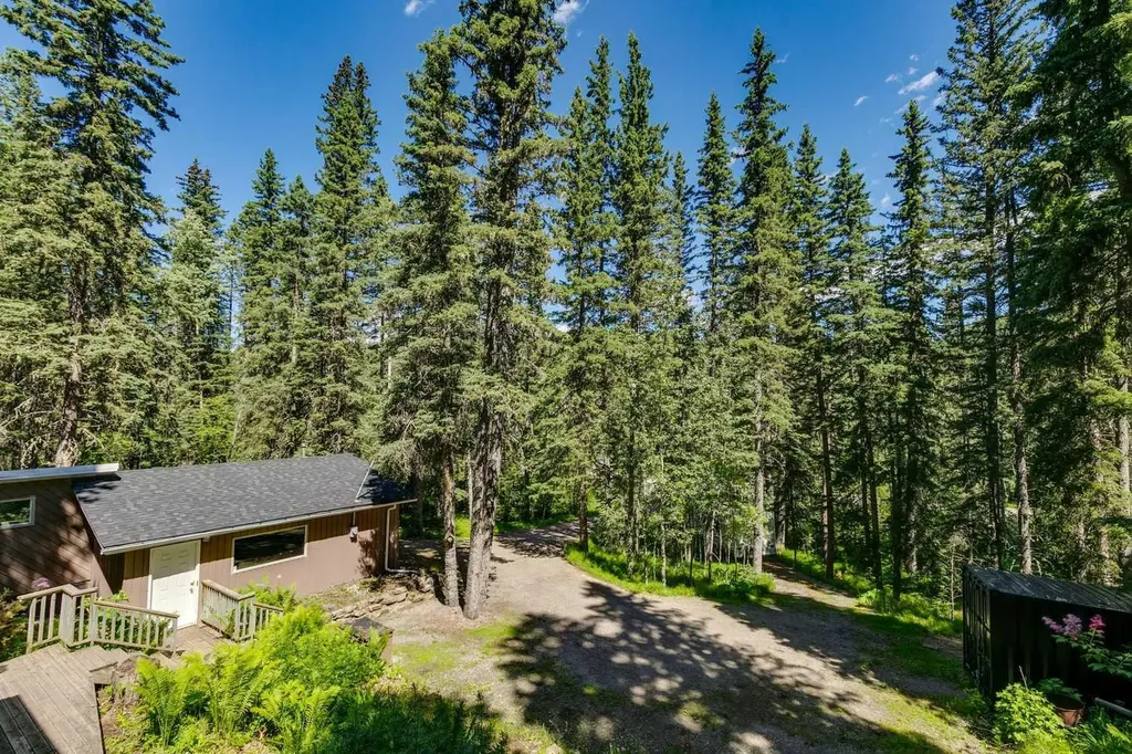 241 Mountain Lion Drive Bragg Creek AB T0L 0K0