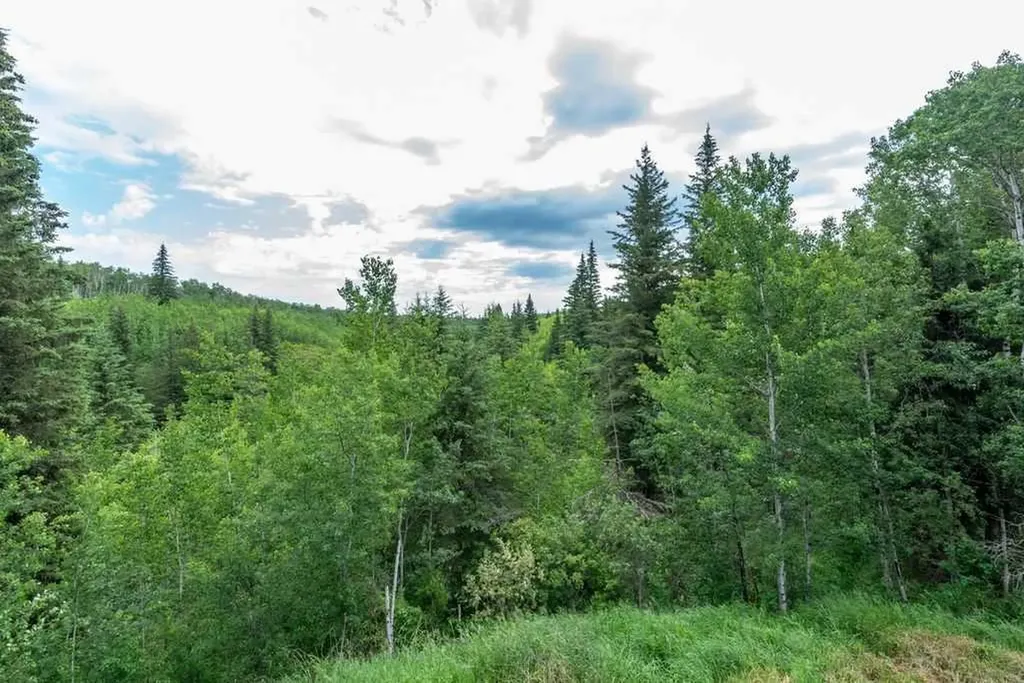 62407 Range Road 431 Ardmore AB T9M 1P3
