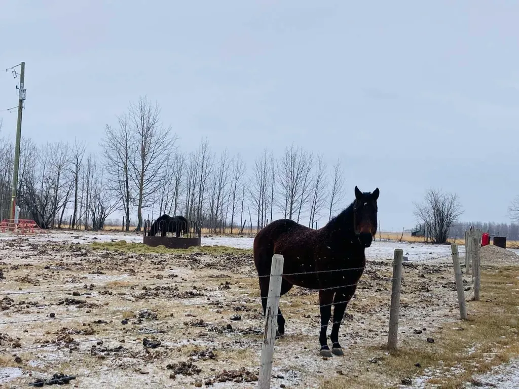 56120 Range Road 93 Rural Lac Ste. Anne County AB T7S 1N3