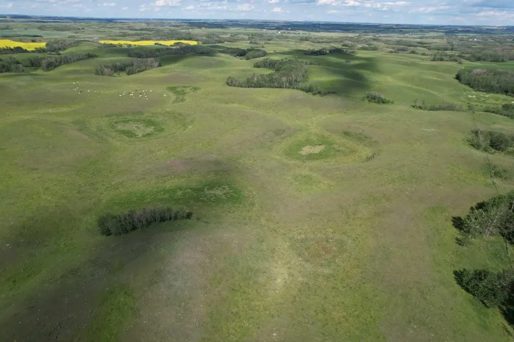 38311 Range Road 244 Rural Lacombe County AB T0C 0Y0