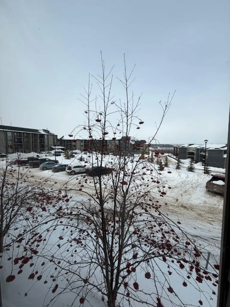 201 Abasand Drive Fort Mcmurray AB T9J1J1