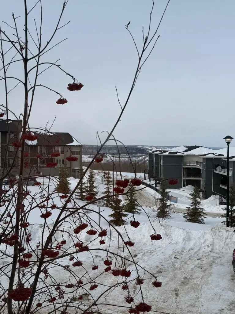 201 Abasand Drive Fort Mcmurray AB T9J1J1