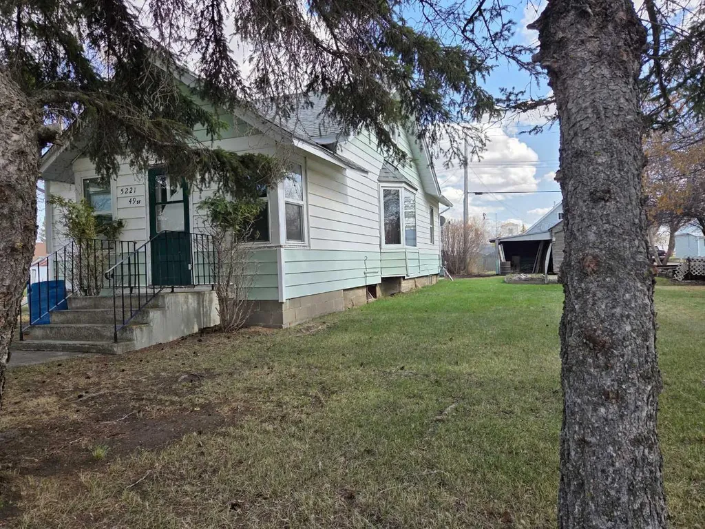 5221 49 Street Castor AB T0C 0X0