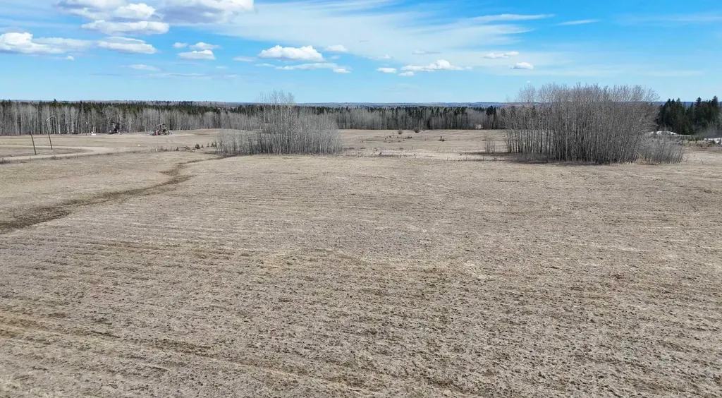 4803 Mitchell Drive Drayton Valley AB T7A1V1