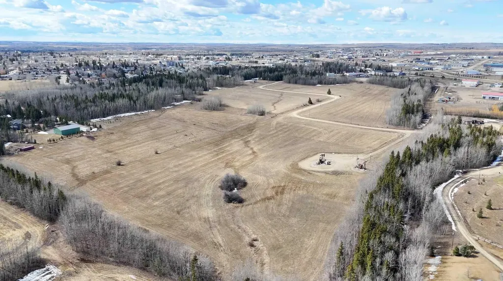 4803 Mitchell Drive Drayton Valley AB T7A1V1