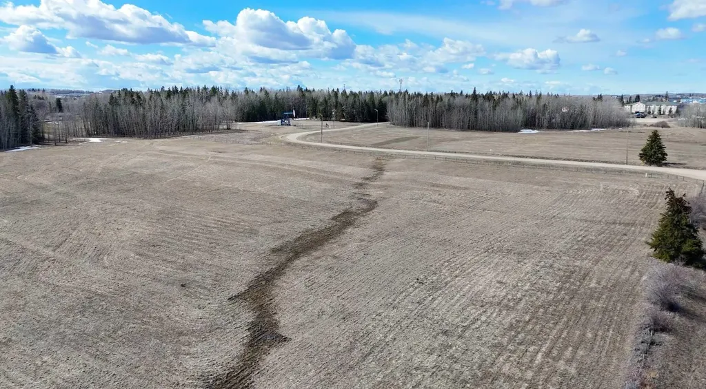4803 Mitchell Drive Drayton Valley AB T7A1V1