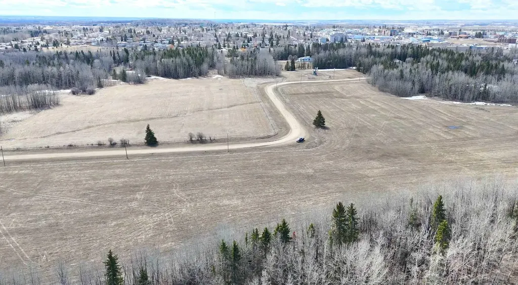 4803 Mitchell Drive Drayton Valley AB T7A1V1