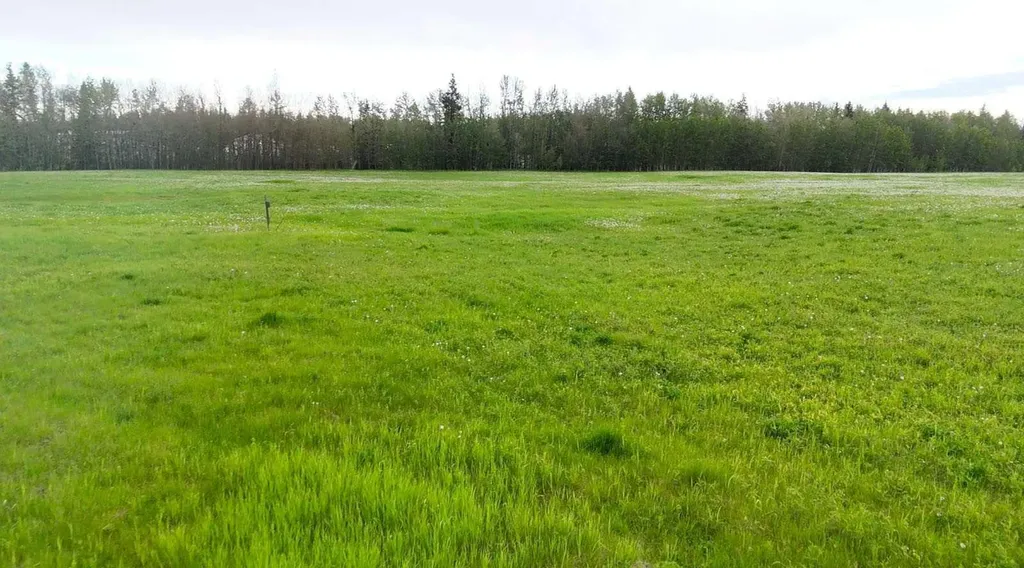 4803 Mitchell Drive Drayton Valley AB T7A1V1