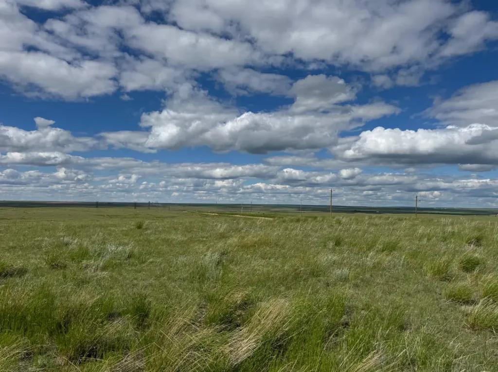 Blk 1 Lot 1 Range Road 43 Rural Cypress County AB T1B4C7
