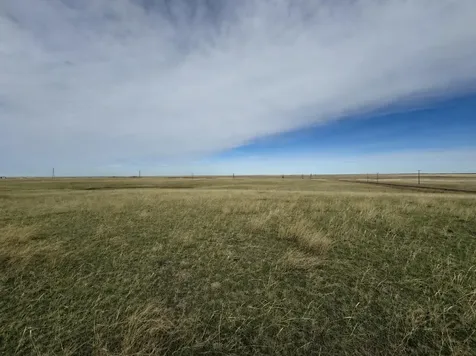 Range Road 43 Rural Cypress County AB T1B4C7