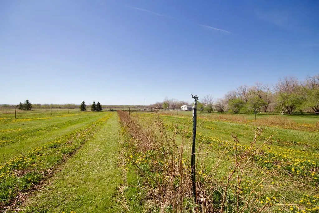 12107A Range Road 60 Rural Cypress County AB T1A7H0