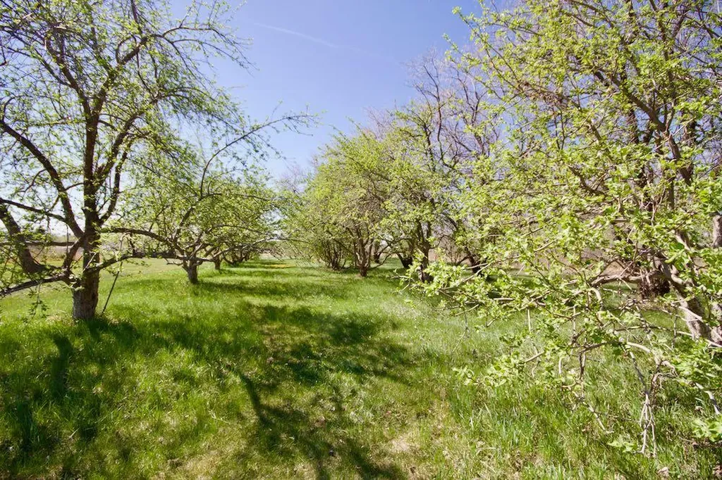 12107A Range Road 60 Rural Cypress County AB T1A7H0
