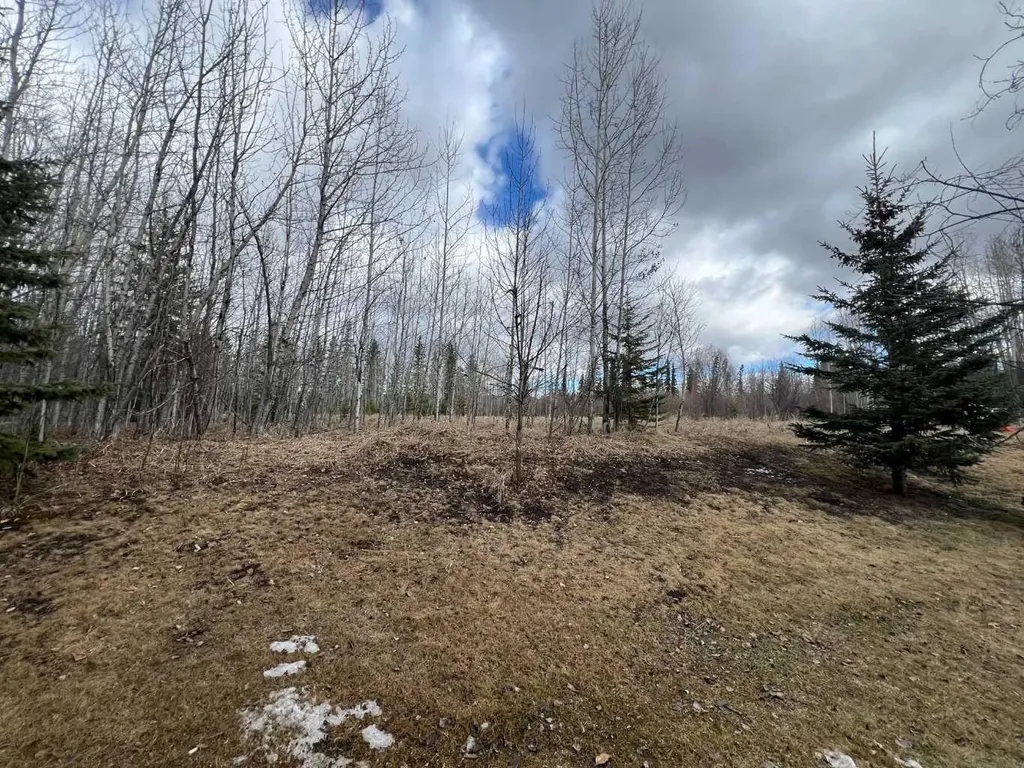 624 41 Street Edson AB T7E 1A4