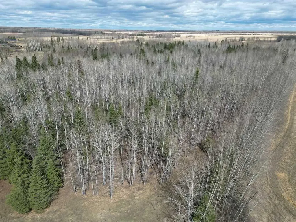 685043 Range Road 223.2 Rural Athabasca County AB T9S 2B2