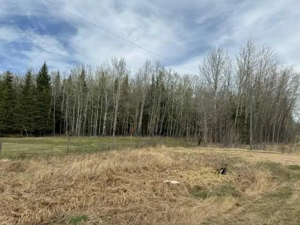 685043 Range Road 223.2 Rural Athabasca County AB T9S 2B2
