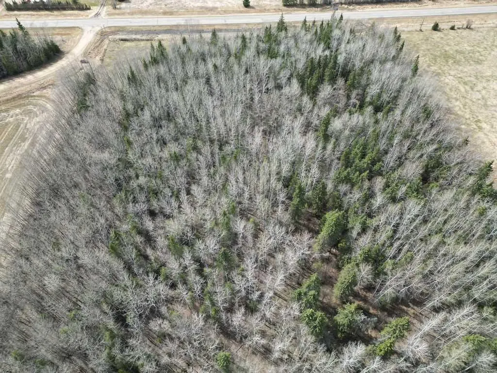 685043 Range Road 223.2 Rural Athabasca County AB T9S 2B2