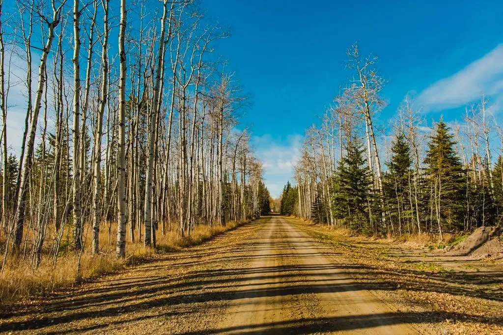 7923 Range Road 73 Rural Saddle Hills County AB T0H 3G0
