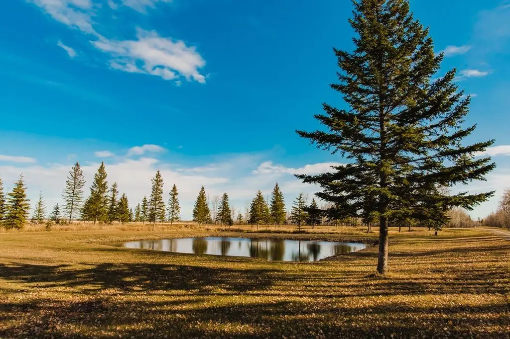 7923 Range Road 73 Rural Saddle Hills County AB T0H 3G0