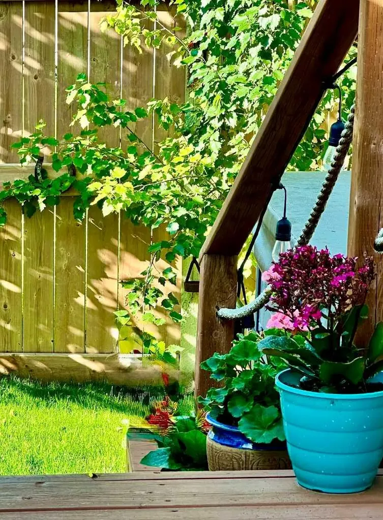 183 Savanna Parade NE Calgary AB T3J 0W1